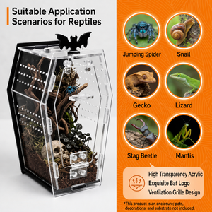 Terrarium en acrylique pour araignées, geckos, lézards et insectes, avec fermeture magnétique et ouverture d'alimentation - Product Image 2