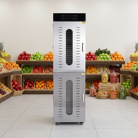 Commerciële 48-bakjes roestvrijstalen vacuümdroger industriële machine voor fruit, groenten en vlees
