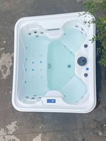 Baignoire Jacuzzi en Acrylique avec Robinet Cascade, Éclairage LED et Contrôle Balboa pour Usage Commercial