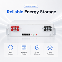 HOPE 5.0LW-B1 Baterai LiFePO4 Dinding untuk Hunian 6000 Siklus Maksimal 48 Paket Paralel CAN Garansi 5 Tahun PV ESS