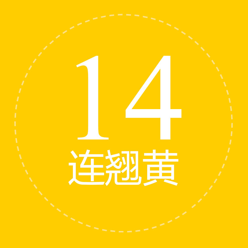 #14 Jaune de Forythia