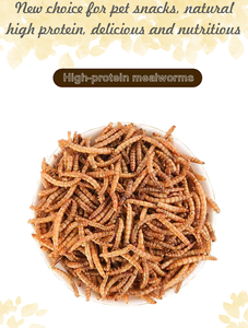 Pet takviyeleri yem katkı maddeleri kediler için kurutulmuş Mealworm yüksek Protein % 100% doğal ortak sağlık - Product Image 3