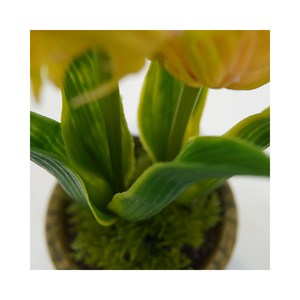 All'ingrosso fiore artificiale succulento giallo fiore realistico per interni decorativi per esterni Mini Bonsai in vaso - Product Image 4