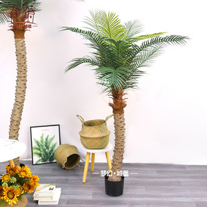 Bonsaï d'arbre de coco artificiel Dream Castle 160cm 180cm 210cm Plante décorative intérieure et extérieure - Product Image 2