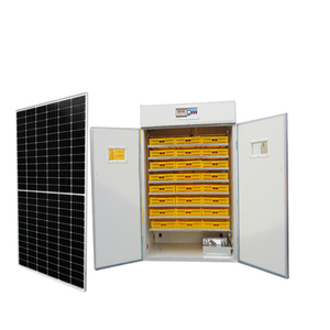 Bán Hot 2000 năng lượng mặt trời năng lượng năng lượng gà trứng lồng ấp Máy ấp trứng với tấm pin mặt trời - Product Image 1