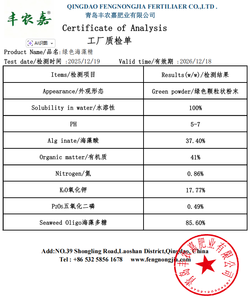 Fabricant OEM, extrait d'algues vertes 100% pur en poudre, <span class=keywords><strong>engrais</strong></span> organique soluble dans l'eau pour l'agriculture - Product Image 4