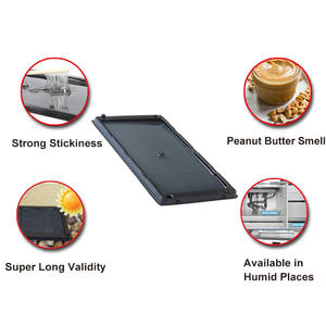 Piège à colle <span class=keywords><strong>de</strong></span> <span class=keywords><strong>rat</strong></span> <span class=keywords><strong>de</strong></span> souris <span class=keywords><strong>de</strong></span> plateau en plastique pré-appâté avec odeur d'attractif d'arachide - Product Image 2