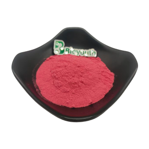 Anthocyanes d'extrait de canneberge de qualité supérieure, poudre 100% naturelle pour boissons antioxydantes et compléments alimentaires - Product Image 2