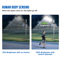 Lampe solaire de rue extérieure à économie d'énergie 300w 500w 1000w 2000w IP66 tout-en-un avec LED et garantie de 2 ans