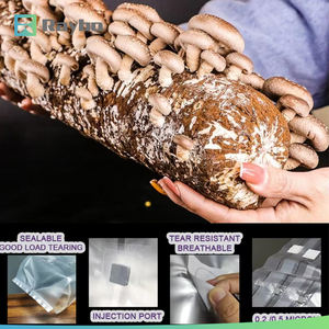 Sacchetti per Coltivazione Funghi RAYBO in PP, Materiale Polipropilene con Porta di Iniezione Autorigenerante - Product Image 3