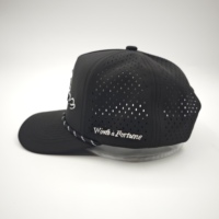 Casquette de baseball sportive unisexe résistante à l'eau avec broderie main Dobby 3D motif fruits, léopard ou pois, logo personnalisé, ajustable, modèle standard