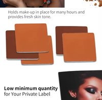Nouvelle Poudre de Maquillage Minérale Mate à Couvrance Totale pour Peaux Foncées, 12 Couleurs, Étanche, Marque Privée, Fond de Teint Pressé