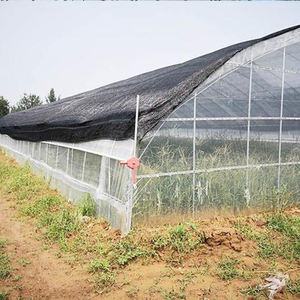 Film PC Sheet Single-Span Hydroponic Strawberry and Tomato Growing Greenhouse Projet clé <span class=keywords><strong>en</strong></span> main Poly Tunnel - Product Image 2