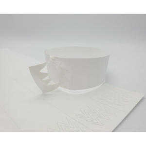 [AnyWristband] Feuilles d'impression laser personnalisées en Tyvek, feuilles imprimables au laser TYVEK 25 mm (1 pouce) pour impression à basse température - Product Image 4