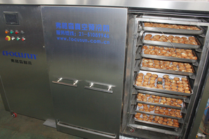 Focusun Refrigeratore Sottovuoto per Piatti Preparati - Raffreddamento Rapido Post-Cottura - Product Image 3