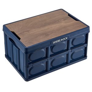 Wholesales Plastic Clothing Camping Bin With Lid Stackable Foldable Storage Box Collapsible