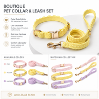 Ensemble collier et laisse pour chien en dentelle festonnée, collier pour animaux de compagnie doux et réglable, style princesse, pour chats et petits chiens Ming Jia
