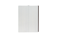 Panneau de revêtement mural ASA WPC blanc-Bois composite ignifuge, imperméable et écologique pour la décoration murale intérieure et extérieure