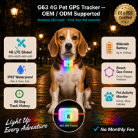 Traceur GPS pour animaux de compagnie G63, suivi multipoints de précision, GPS/Beidou/GLONASS, 4G, IP67, étanche, plastique, autonomie de la batterie >20 heures