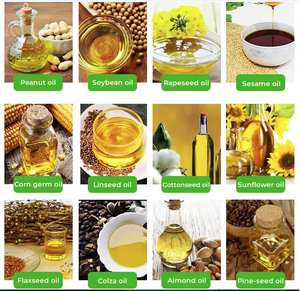 Full Automatic Small Scale Sesame <b>Oil</b> Production Line Edible <b>Oil</b> Processing Equipment 304 stainless steel <b>oil</b> <b>press</b> machine - Product Image 5