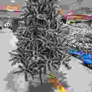 Nuevo Árbol de Navidad de PVC Pintado con Spray Blanco Ecológico, un Éxito de Ventas, que Crea una Atmósfera Festiva Navideña - Product Image 3