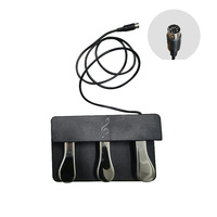 China Factory Custom Musical Instrument Accessories OEM 5 PIN Metal/Plastic Extenders 1.5m Cable Sustain Foot Pedal BD-triple