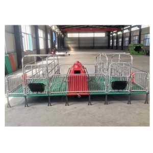 Cama de Parto <span class=keywords><strong>Aow</strong></span>, Equipo para Granjas Porcinas, Jaula de Crecimiento para Lechones, Equipo para Cría de Cerdos - Product Image 1