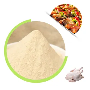 Chickens powder flavors manufacturers supply chicken meat seasoning powder halal chicken flavor for instant noodles