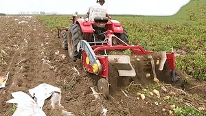 Tractor cosechadora de patatas de nueva condición de alta productividad, máquinas agrícolas con componentes centrales, rodamientos - Product Image 4