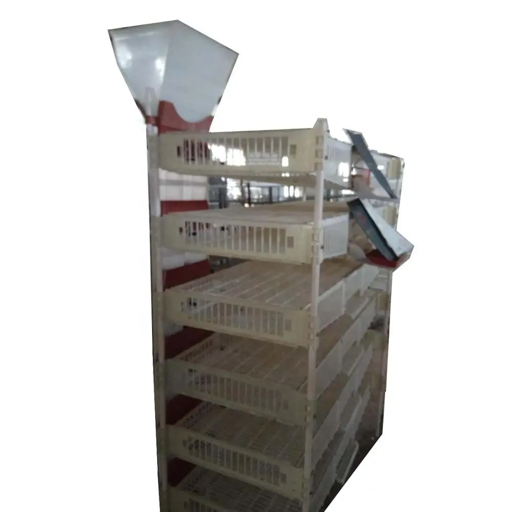 Grosir kandang puyuh plastik peralatan pertanian kandang lapisan puyuh merpati plastik untuk dijual HJ-QC400B