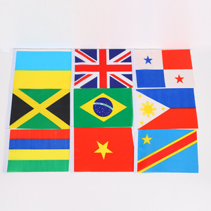 Juego de banderas del mundo, 12 piezas, forma rectangular de poliéster para decoraciones y eventos - Product Image 2