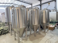 Fermenteur de bière 600L, Cuve de fermentation 5BBL, Unitanks, Indicateur de niveau FV pour produits gazeux, Cuves de fermentation à double enveloppe