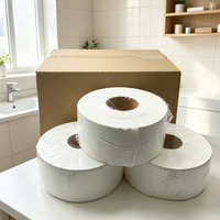 Papier toilette de qualité supérieure en rouleaux jumbo, personnalisable, doux, sans poussière, écologique et jetable dans les toilettes