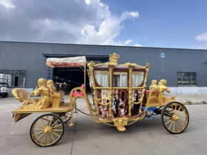 HengYiSheng Véhicule utilitaire Sculpture de calèche sans chevaux Calèche royale Transport électrique spécial Prix usine - Product Image 2