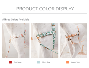 Arnés de Algodón para Perro, Talla L, de Lujo, Moderno, Transpirable, Ecológico, con Estampado Premium, Antitirones, Sólido, Accesorio para Mascotas a la Moda, OEM - Product Image 6