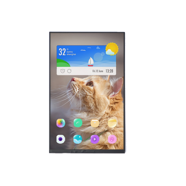 Shenzhen 10.1 Inch Mipi Dsi Lcd Display Touch Screen Lcd 800x1280 High Brightness Lcd Display Module