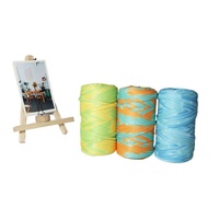 100% Polyester DIY Crochet Material Hand-Knitted Segment Dyed T-shirt Yarn Fancy Yarn for T-Shirt Creation