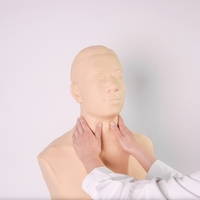 Simulateur d'examen de la glande thyroïde, mannequin d'examen physique pour les structures anatomiques et la palpation de la glande thyroïde