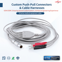 Harnais de câblage médical OEM personnalisé Série B, assemblage de câbles blindés PVC/PET pour équipement chirurgical, utilisation électronique automobile, IP50