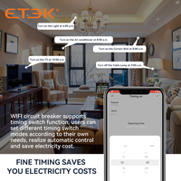 Disjoncteur intelligent WIFI ETEK Tuya, commande à distance, protection contre les courts-circuits, minuterie, 2P 16A 25A 32A 40A, miniature, certifié CE