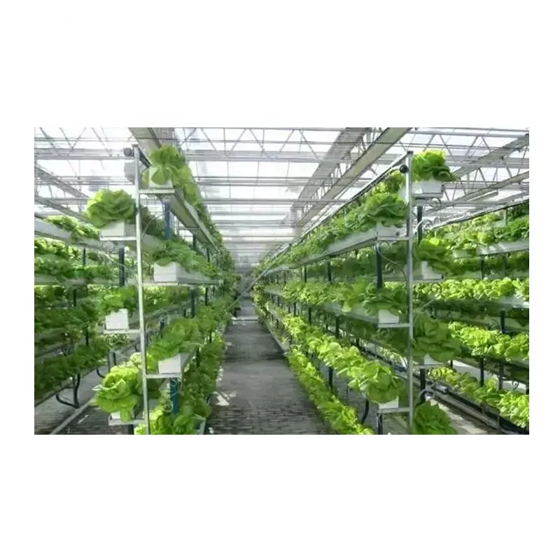 Space Saving Vertical NFT Hydroponics Planting System for Lettuce Herb Tomato