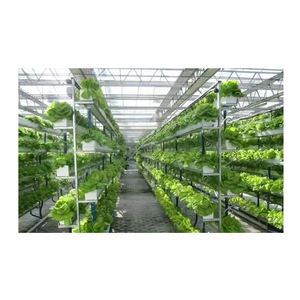Système de plantation hydroponique NFT <span class=keywords><strong>Vertical</strong></span>, économie de place, plantes pour tersmartphone, herbe de tomate - Product Image 1