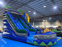 Toboggan aquatique commercial personnalisé en usine toboggan gonflable bon marché de taille de fête avec piscine pour adulte