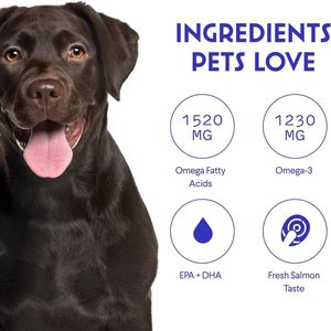 Omega-3 OEM/ODM para Perros a Base de Salmón de Alaska, Bacalao y Aceite de Krill - Ácidos Grasos EPA y DHA, Sin Granos, para la Salud de la Piel y el Pelaje, 200 ml Líquido - Product Image 3