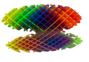 Morf Fidget <b>Worm</b> Toy Plastic Flexible 3D Sensory Slug Fig Toy for Kids Teens Adults Stretchy Quiet Stress Relief Focus Play - Product Image 3