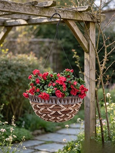 Panier suspendu <span class=keywords><strong>en</strong></span> corde <span class=keywords><strong>tressée</strong></span>, pot de fleurs décoratif tressé, panier suspendu pour plantes d'intérieur et d'extérieur pour la verdure - Product Image 2