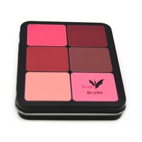 Bulk Empty Magnetic Palette Behälter Metall Zinn Fall Lidschatten Rouge Make-up Zinn Halter Box Hersteller