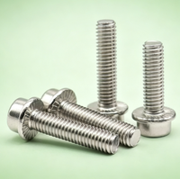 Tornillo de Cabeza Cilíndrica con Ranura Hexagonal Estándar DIN251, Acero Inoxidable 304, M5-M12, Fijación Industrial