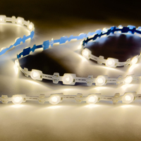 Bande LED à prix avantageux, 28 LED/m, découpable, auto-adhésive, haute luminosité pour enseignes, lettres et boîtes lumineuses