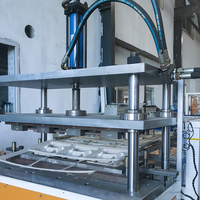 Balle de riz biodégradable pla plaque conteneur boîte vaisselle assiette faisant la machine jetable boîte alimentaire conteneur faisant la machine